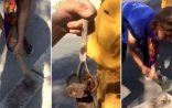 Azərbaycanlı müğənninin evindən cadu tapıldı 