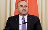Türkiyə Fransanın cavabını verdi: Tamamilə yalandır