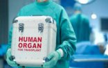 Azərbaycanda qəzalarda ölən insanların orqanları dərhal götürülə bilər