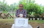 Lənkəranda barama yığımına başlanıldı (FOTOLAR)