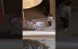 Özünü 17-ci mərtəbədən atan qızın anası danışdı: 