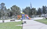 Bakıda parkın ortasında dəhşət: İnsanların gözü qarşısında…