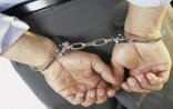 Qida Təhlükəsizliyi Agentliyinin həkimi və daha 5 nəfər həbs edildi