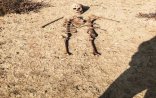 Mikayılın Müşfiqə aid olduğu ehtimal edilən skeletin FOTOSU: Başından iki güllə...