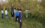 Azərbaycanda böyük xeyriyyəçilik: Sahibkar sərvətini pulsuz paylayır