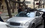 Küləkli hava şəraiti ilə bağlı sürücülərə xəbərdarlıq