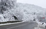 Şimal rayonlarımıza qar yağdı - Foto