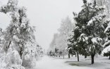 Azərbaycanda hava şəraiti dəyişəcək - XƏBƏRDARLIQ