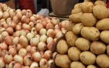 “Qərar qüvvədə qalarsa, yüz min tonlarla kartof məhv olacaq”