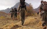 Türkiyənin başına 600 min qoyduğu terrorçu məhv edildi