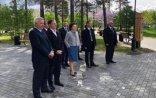 Azərbaycanlı milyarderə görə ağacları rənglədilər - Video