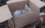 Bakıda yeni doğlan körpə küçəyə atıldı - VİDEO