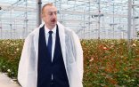 İlham Əliyev Qəbələdə səfərdədir (FOTOLAR)
