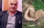 Yardımlı meşəsindən şikayət var- 500-dən artıq ağac məhv edilib