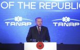 Yunanlar TANAP-ın açılış mərasimini tərk etdi - Səbəb