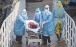 Koronavirus epidemiyası: yoluxanların sayı 20 mini, ölənlərin sayı 500-ü keçdi