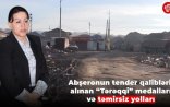 Abşeronun tender qalibləri, alınan 