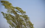 Hava şəraiti dəyişəcək, temperatur 5-8 dərəcə aşağı enəcək - XƏBƏRDARLIQ