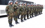 Bakıda Daxili Qoşunların hərbi qulluqçuları polislə birgə xidmətə cəlb edildilər