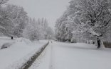 Nazirlikdən əhaliyə HAVA XƏBƏRDARLIĞI: temperatur kəskin dəyişəcək, 9 aprelədək...