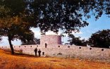 Şuşa inauqurasiyası, mən, qarğalar…