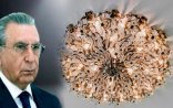 “Zinger-İnşaat” kimin şirkətidir? - AMEA 40 min manata çilçıraq alıb