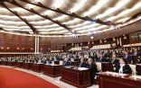 Milli Məclisin deputatlarına tapança verilib?