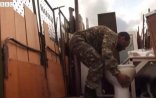 Ermənilərin unitaz sevgisi: Bu cür şərəfsizlik yoxdur! - FOTO