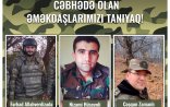 Vətən müharibəsində əməyi olan igidlərimizi tanıyaq - SİYAHI