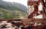 “Ramiz Qəmbərov dedi ki, bizə nə olsa, azdır – T. Mehdiyev kimi generala dəstək vermədik...