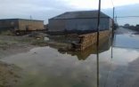“Evlərimiz suyun içində, maraqlanansa yox