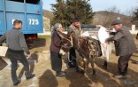 “Deyirlər, Araik Putinlə gizli görüşüb, tezliklə Rusiya pasportları veriləcək və s....”