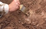 Azərbaycanın bu bölgəsində xəzinə tapıldı - Kənd nəzarətə götürüldü - FOTO