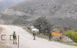 Laçın dəhlizində atışma: Yaralanan var