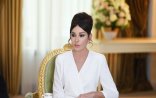 Astaranın 100-dən artıq ziyalısından Birinci vitse-prezidentə müraciət: 