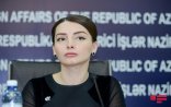 Leyla Abdullayeva Ermənistanın yeni XİN başçısına cavab verib