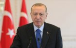 “Bu, hər igidin, hər siyasətçinin işi deyil” - Ərdoğan