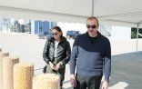 İlham Əliyev və Mehriban Əliyeva “Ağcabədi taxıl Aqropark”da - Foto