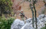 Türkiyə ordusu 12 terrorçunu məhv etdi