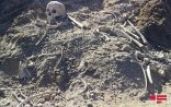 Ermənistan I Qarabağ müharibəsində itkin düşmüş 10 nəfərin qalıqlarını Azərbaycana verib