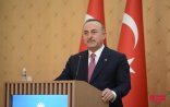 “İnşallah, Ermənistan da ağıllanar” - Türkiyə XİN rəhbəri