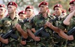 Serblər rusların tərəfində vuruşur? – Araşdırma başladı