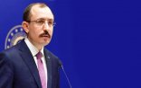 Türk nazir: 