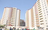 Bakıdakı göydələnlərdə əsas təhlükə budur