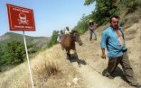 Bu erməni Azərbaycanın tərkibində “Qarabağın qubernatoru” olmağa razıdır...