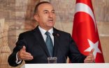 Çavuşoğlu: 
