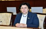 Məlahət İbrahimqızı: “Həmkarım Fazil Mustafanın fikirləri ilə tamamilə razıyam...”