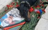 Şəhidimizin ən vəfalı dostu... - Foto