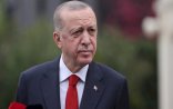 “Novruz bayramının rəsmi şəkildə qeyd olunması planlaşdırılır” - Ərdoğan