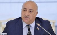 Tahir Kərimli: “Mühacirlərin Prezidentə qarşı hər hansı hörmətsizliyi Almaniya dövlətinin adına yazıla bilərdi”